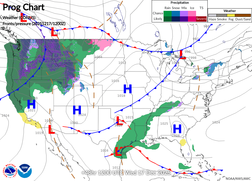 Surface Analysis-48HR